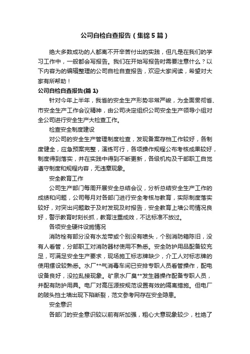 公司自检自查报告（集锦5篇）