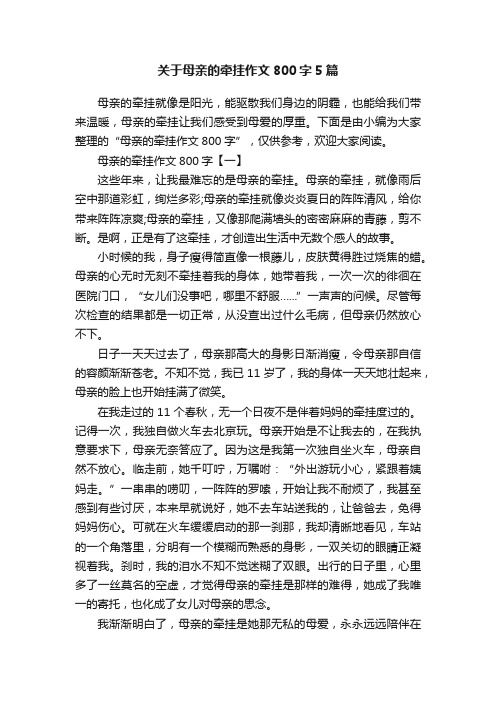 关于母亲的牵挂作文800字5篇