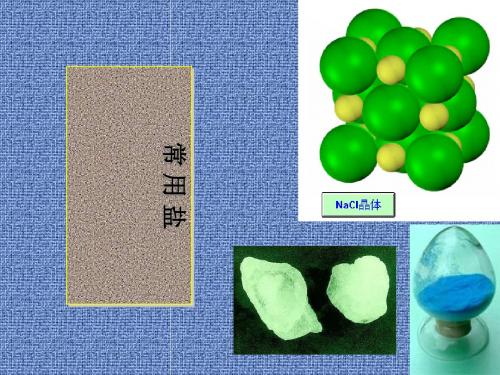 常用盐全面版