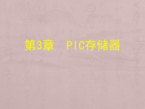 PIC存储结构