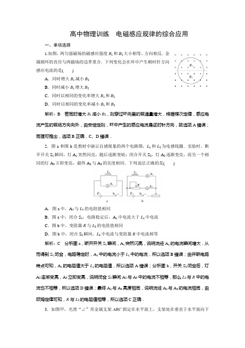 高中物理训练----电磁感应规律的综合应用