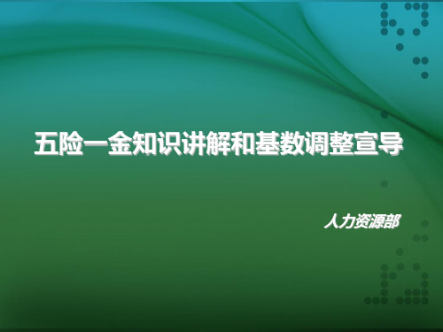 五险一金知识讲解和基数调整宣导