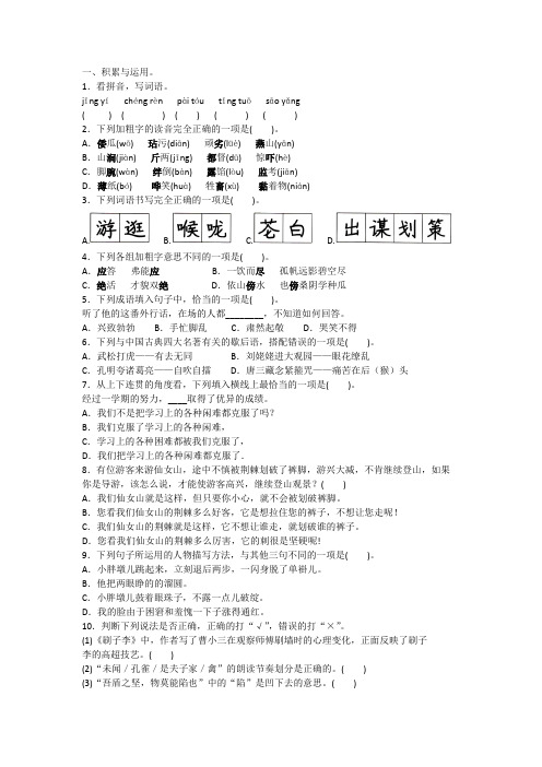 2020-2021人教版语文五年级下册 期末模拟卷(二)