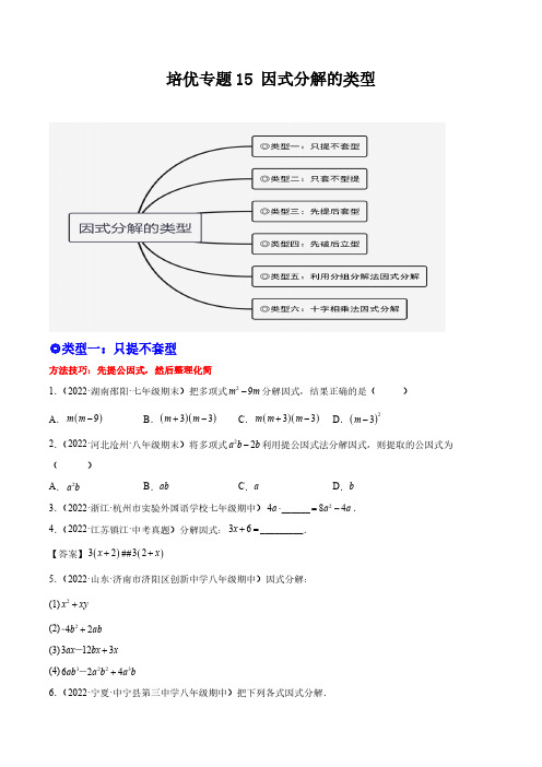 培优专题15 因式分解的类型-原卷版