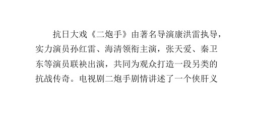 电视剧二炮手剧情介绍
