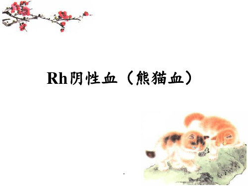Rh阴性血型有关知识PPT课件