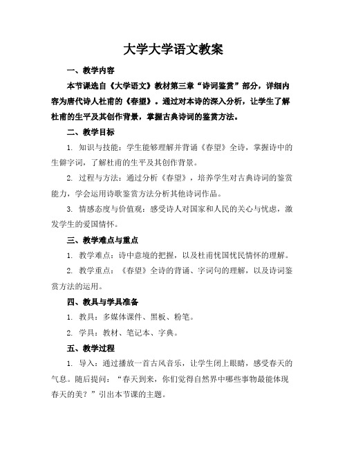 大学大学语文教案