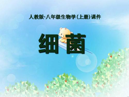 《细菌》细菌和真菌PPT6  图文