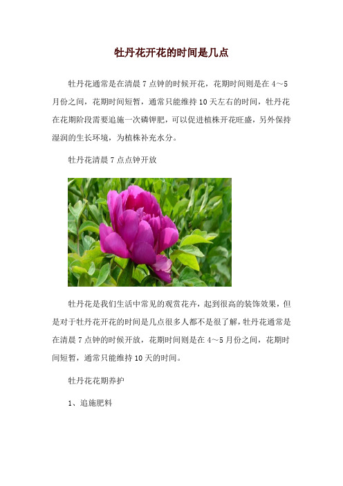 牡丹花开花的时间是几点