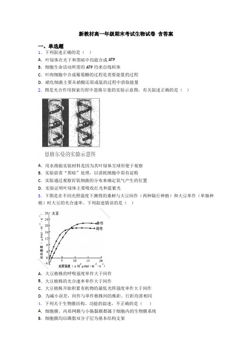 新教材高一年级期末考试生物试卷 含答案