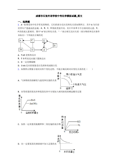 成都市石室外语学校中考化学模拟试题_图文