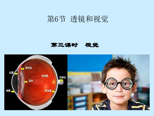 2.6透镜和视觉-浙教版七年级科学下册课件3