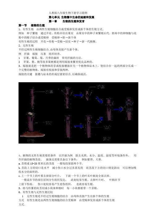 人教版八年级生物下册学习提纲