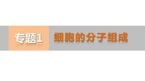 高考生物专题强化课件【专题1】细胞的分子组成(71页)