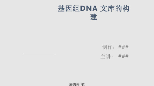 基因组DNA 文库的构建PPT课件