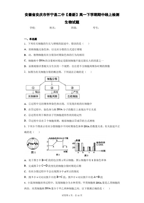 2020-2021学年高一下学期期中线上检测生物试题含答案解析