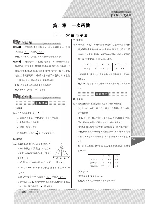【倍速课时学练】八年级数学上册 第5章 一次函数练与测手册(pdf)(新版)浙教版