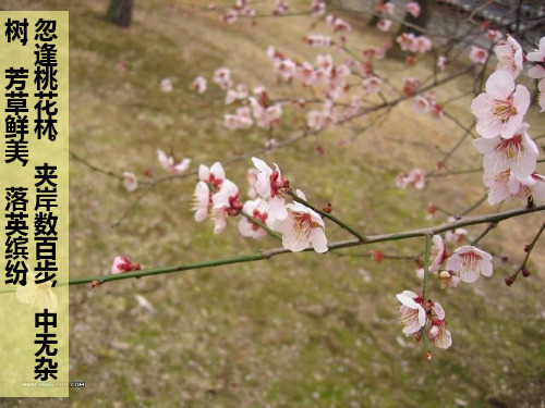 陶渊明《归园田居(其三)》种豆南山下ppt课件