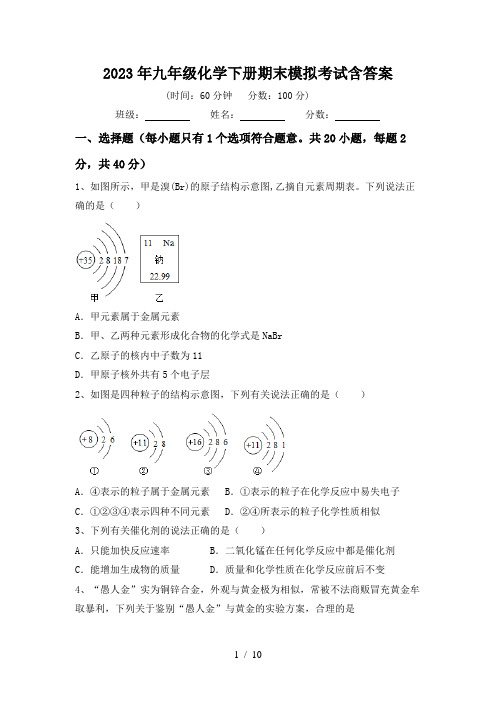 2023年九年级化学下册期末模拟考试含答案