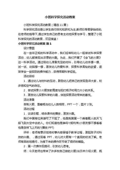 小班科学探究活动教案