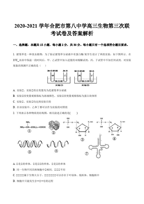 2020-2021学年合肥市第八中学高三生物第三次联考试卷及答案解析