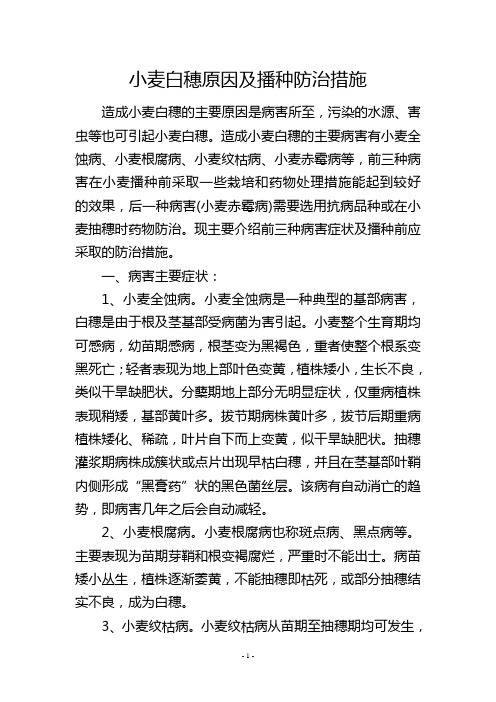 小麦白穗原因及播种防治措施