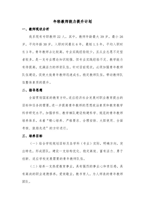 年轻教师能力提升计划