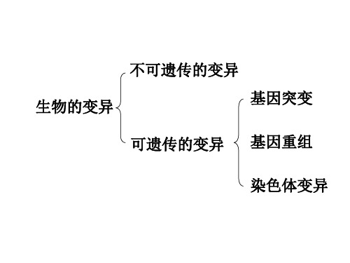 必修二第五章第一节染色体变异课件