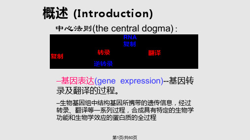 微生物基因表达的调控PPT课件