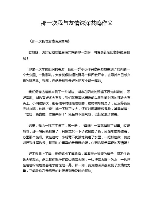 那一次我与友情深深共鸣作文