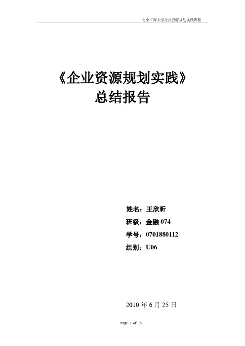 企业资源规划实践总结报告