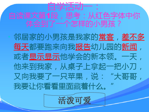 苏教版四年级语文下册第五课苹果里的五角星