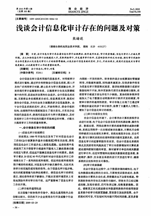 浅谈会计信息化审计存在的问题及对策