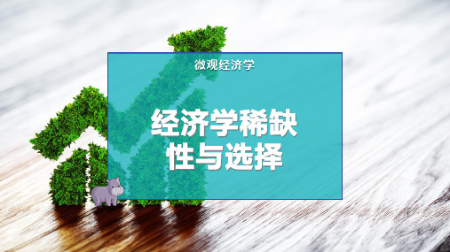 经济学稀缺性与选择