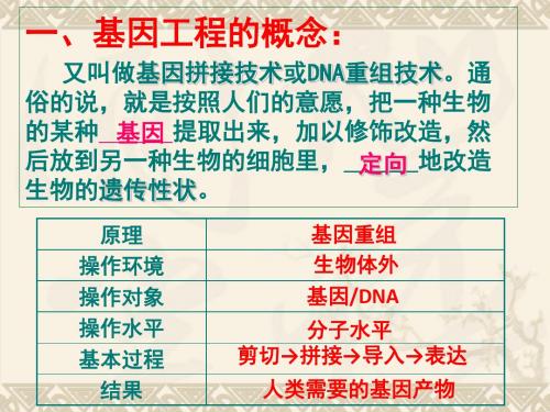 1.1基因工程(工具)上课课件