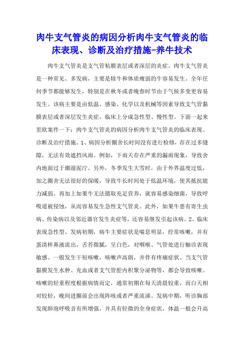 肉牛支气管炎的病因分析 肉牛支气管炎的临床表现、诊断及治疗措施 - 养牛技术