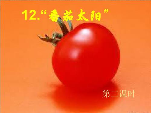 《番茄太阳》(第二、三课时)修改