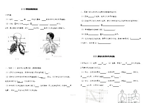 人体与外界的气体交换(精选练习)