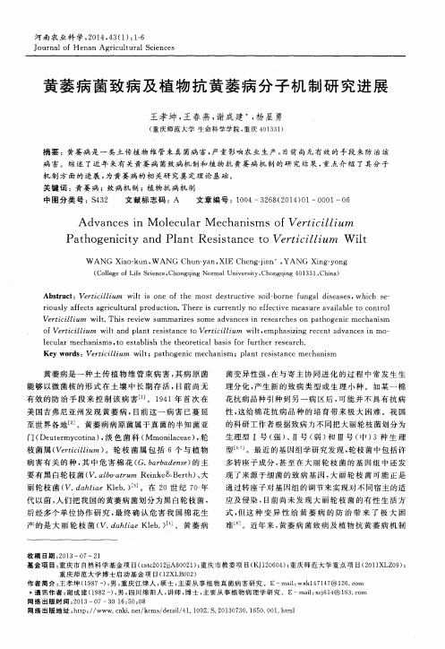 黄萎病菌致病及植物抗黄萎病分子机制研究进展