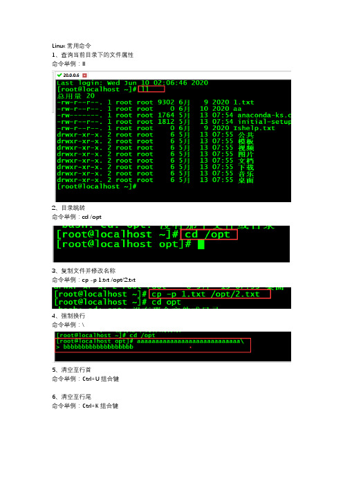 linux常用命令详解