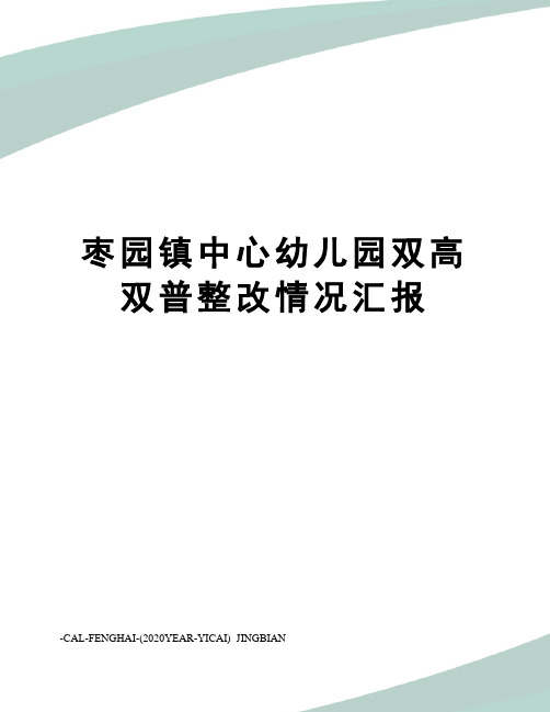 枣园镇中心幼儿园双高双普整改情况汇报