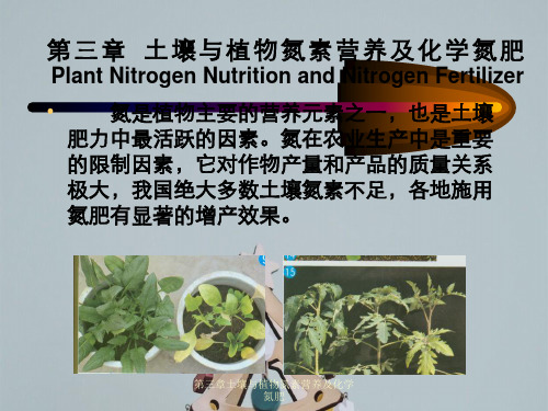 第三章土壤与植物氮素营养及化学氮肥