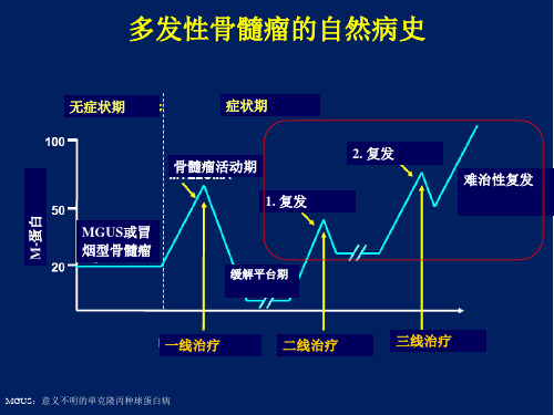 难治性复发性多发性骨髓瘤治疗策略ppt课件.ppt