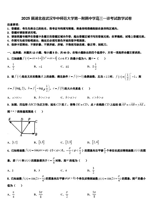 2025届湖北省武汉华中师范大学第一附属中学高三一诊考试数学试卷含解析