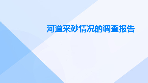 河道采砂情况的调查报告