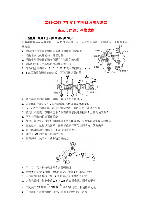 精选高三生物上学期12月月考试卷