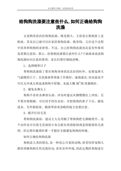 给狗狗洗澡要注意些什么,如何正确给狗狗洗澡