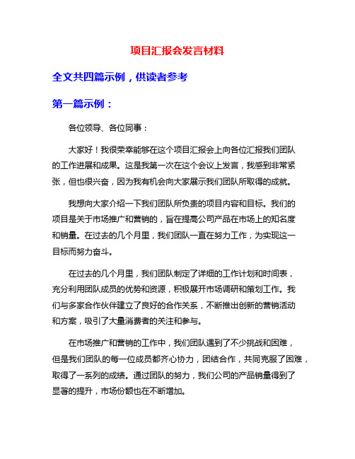 项目汇报会发言材料