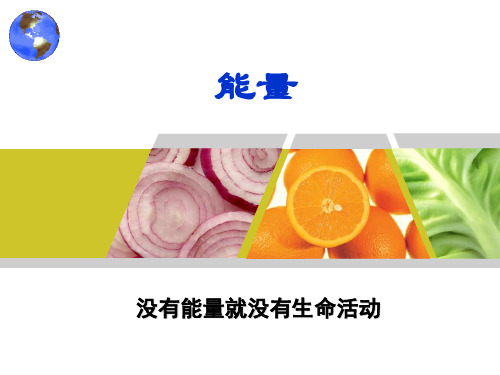 食品营养学第2章__能量