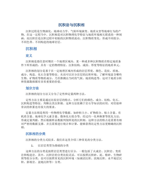 《沉积岩与沉积相》课程综合复习资料